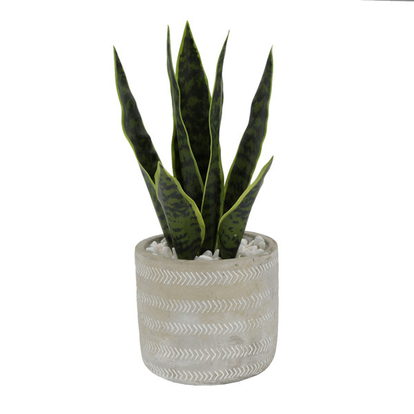 6.5" Artificial Snake Plant in Pot & Reviews Joss & Main